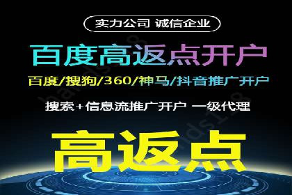 SEM服务案例：打造行业领先品牌